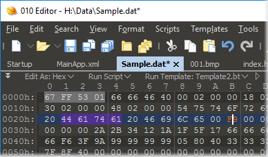 010 Editor - Professional Text/Hex Editor With Binary Templates